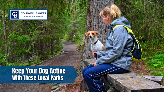 The last thing you want for your four-legged friend is to be laying around the house all day. Here are local spots where your dog can get plenty of exercise.